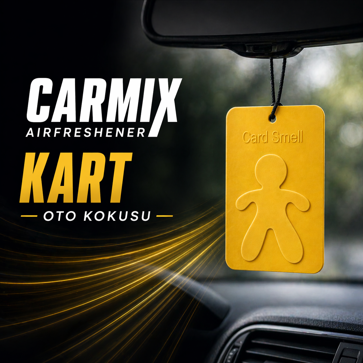 Kart Oto Kokusu